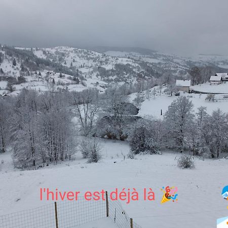 Les Chalets Bambi & Jacuzzi Privatif La Bresse Værelse billede