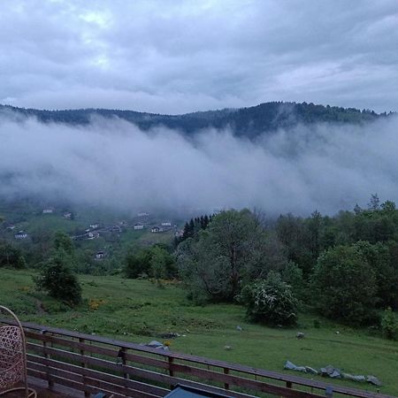 Les Chalets Bambi & Jacuzzi Privatif La Bresse Eksteriør billede