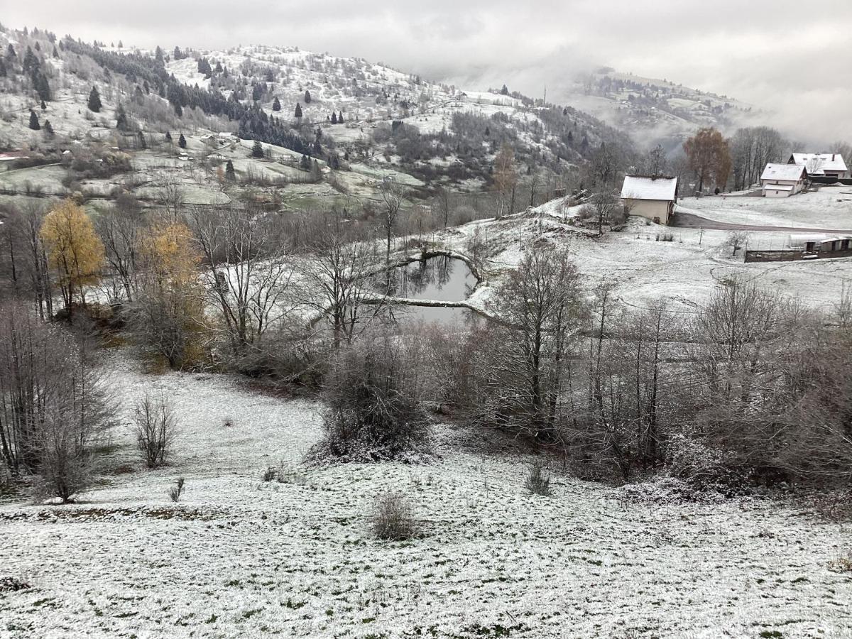 Les Chalets Bambi & Jacuzzi Privatif La Bresse Eksteriør billede