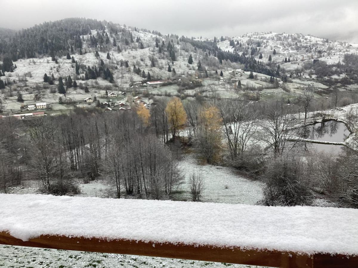Les Chalets Bambi & Jacuzzi Privatif La Bresse Eksteriør billede