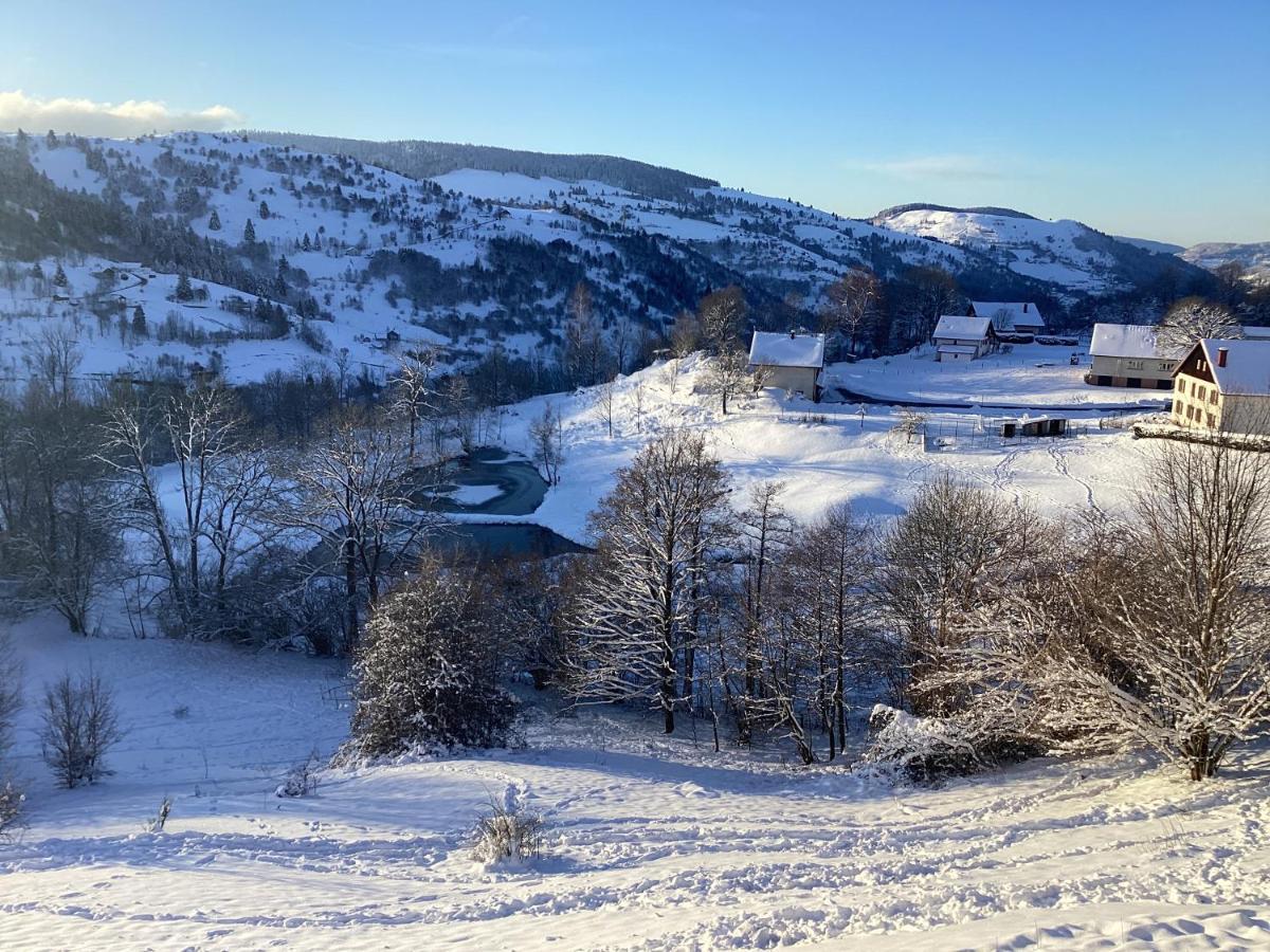 Les Chalets Bambi & Jacuzzi Privatif La Bresse Eksteriør billede