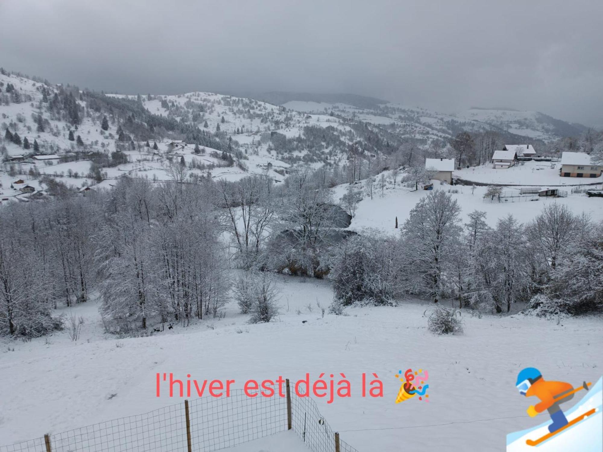 Les Chalets Bambi & Jacuzzi Privatif La Bresse Værelse billede