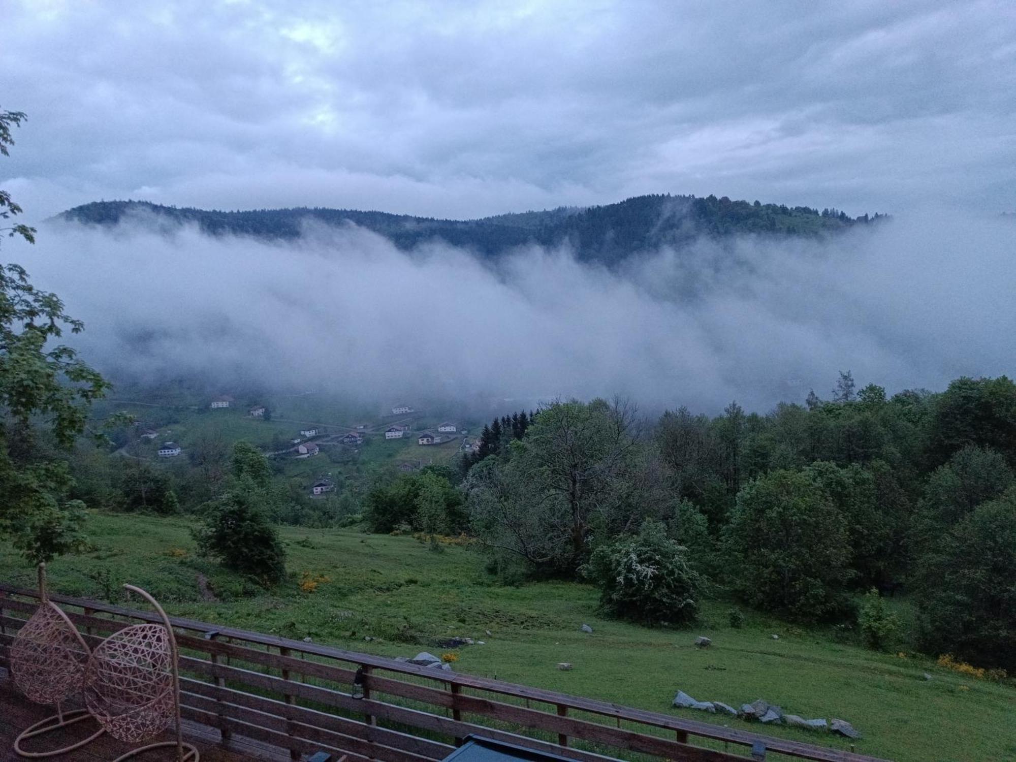 Les Chalets Bambi & Jacuzzi Privatif La Bresse Eksteriør billede