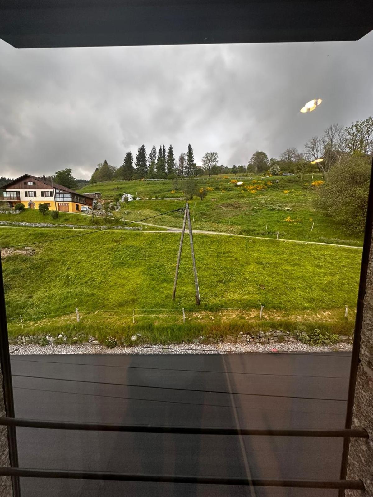 Les Chalets Bambi & Jacuzzi Privatif La Bresse Værelse billede